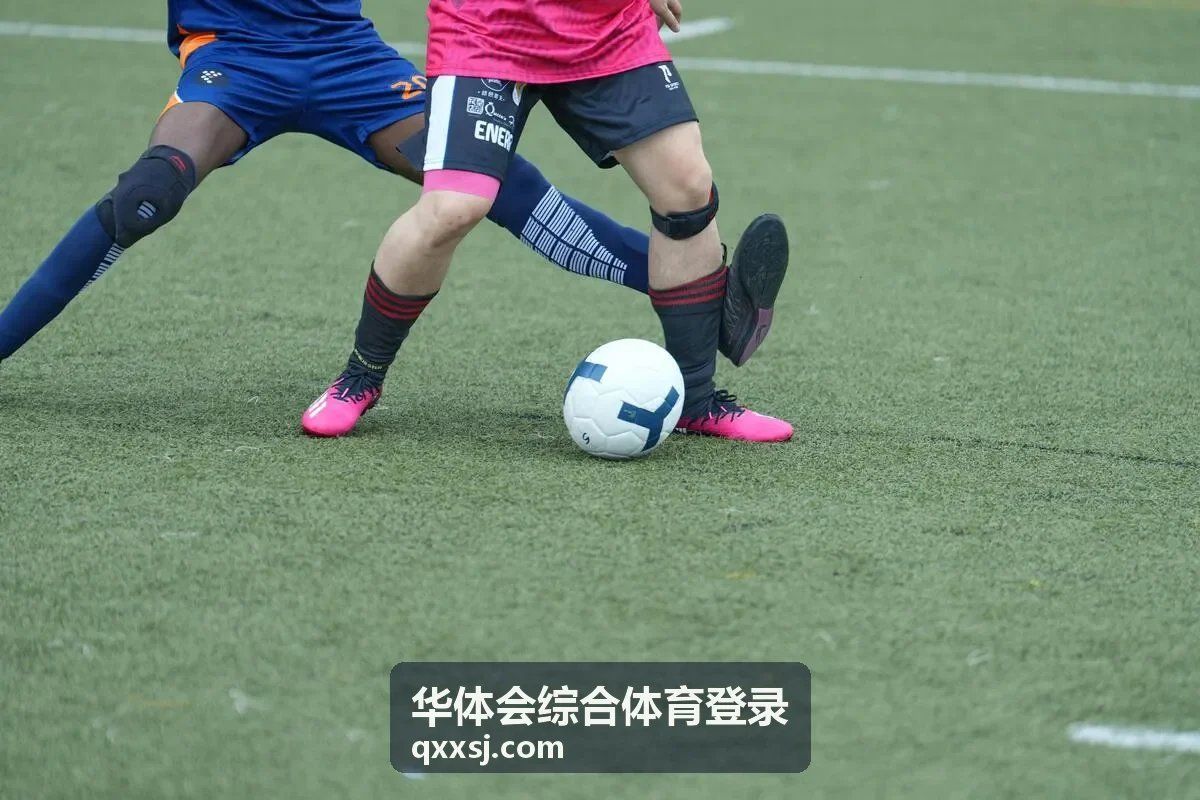 华体会综合体育登录平台功能使用场景展示图