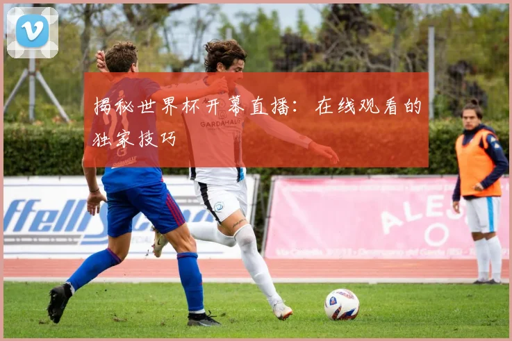揭秘世界杯开幕直播：在线观看的独家技巧